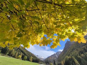 Seeberhof - Urlaub am Bauerhof