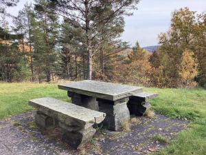 Peaceful Forest Cabin in Dalsland