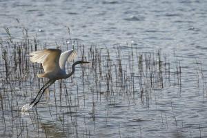 Ferienwohnungen am Federower Hofsee