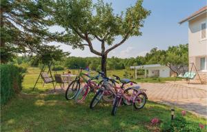 3 Bedroom Gorgeous Home In Vinjani Gornji 