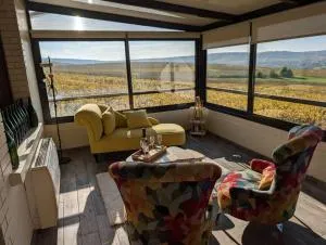 Maison Chez Papy Chapeau 4 étoiles - Binson-et-Orquigny