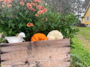 4 person holiday home in FÄRJESTADEN