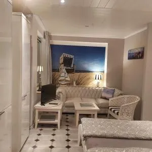 Stein am Ostseestrand bei Laboe mit Hund - Lutterbek