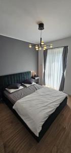 Cozy stay near Ialomita River