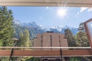 Appartement lumineux à Chamonix avec vue imprenable sur Mont Blanc et parking