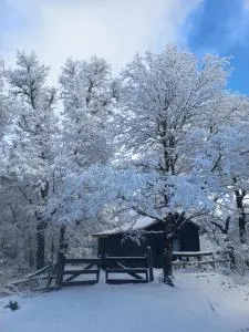 Conguillio cabaña Concón Turismo Conguillio - 孔吉利奥