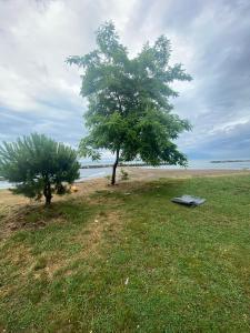 SEZGİN KARGI - Günübirlik Turizm Evleri