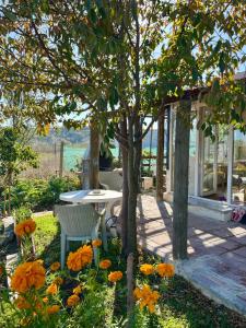 Yıldız Şifa Çitlik Evi