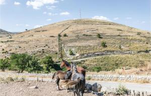 5 Bedroom Beautiful Home In Ragusa