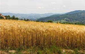 Amazing Home In Nocera Umbra With Wifi