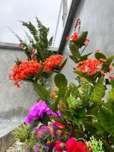 Arun Siri Pool Villa Aonang