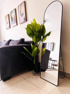 Tetanis Luxury Oasis