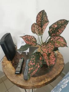 Copey house Chiriquí, vía hacia Volcán