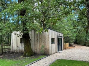 Appartements Studio en pleine nature ! : photos des chambres