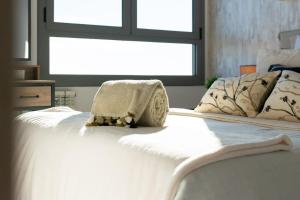 Penthouse with Private Terrace & Pool Access