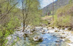 1 Bedroom Beautiful Home In Taipana