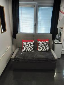 R.I.Š.-Rest in Šiška Duplex 