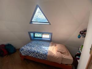 Domo Tiguesitos en Picarte con Parasol