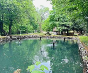 Pensiunea Paradisul Naturii