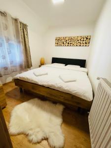 Apartment Zala with Sauna