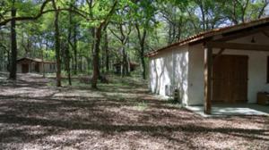 Appartements CAP VILLAGE : photos des chambres