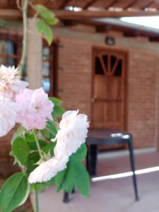 Suites de Montaña Despertar del Gallo