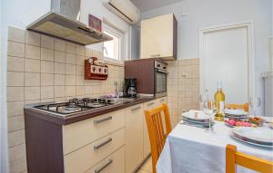Amazing Apartment In Brodarica With Wifi 