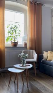 Dawna Mleczarnia Apartamenty SŁONECZNY