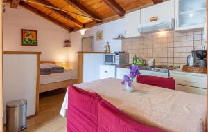 Lovely Home In Kanfanar With Kitchen 