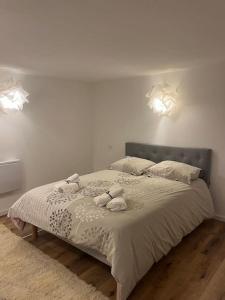 Appartements 2 pieces moderne et cosy a Strasbourg : photos des chambres