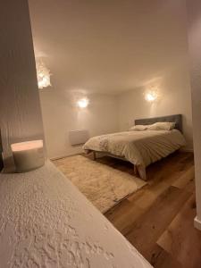 Appartements 2 pieces moderne et cosy a Strasbourg : Appartement 1 Chambre