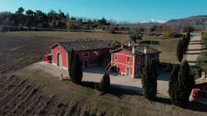 Cantina D'Erasmo - Camere e Degustazioni - Castignano