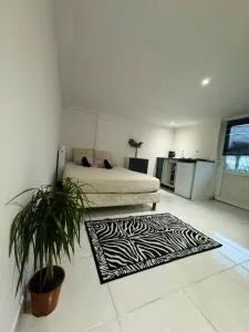 La cache cache - 昂瑟尼