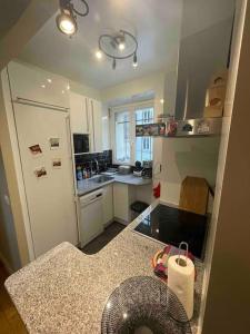 Spacious and convenient 2 BR flat in Paris centre