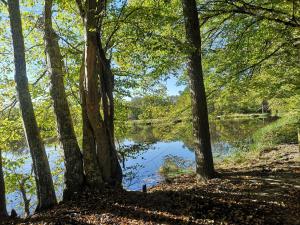 Maisons de vacances Gite des Pins-Chambord-Beauval : photos des chambres