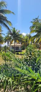 Karabebae bungalows Remo