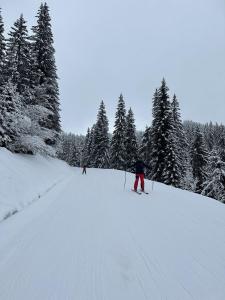 Appartements Duplex skis aux pieds centre village - 6 couchages - 2 salles de bain : photos des chambres