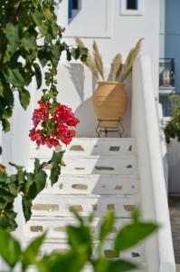 Dilino Hotel Studios Naxos Greece