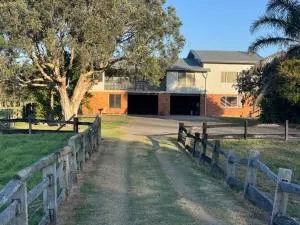 Little Slice of Paradise - Hat Head