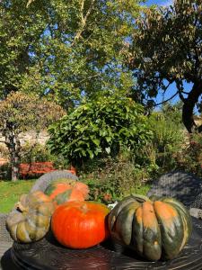 B&B / Chambres d'hotes Aggarthi Bed and Breakfast : photos des chambres