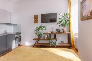 Urban lifestyle Brno