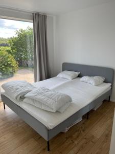 Johannas ranch lgh ovan stallet