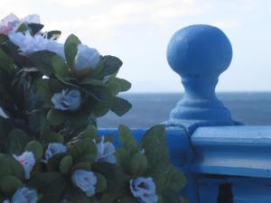 Dilino Hotel Studios