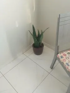 Residencial Alves - 卡塔洛