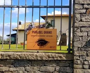 AZIENDA agricola Pian del Grano - Latera