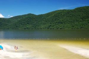 Ape no Campeche, Floripa