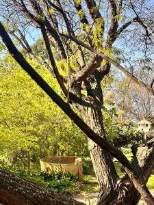 Farm stay at Thyme Cottage on Haldon Estate