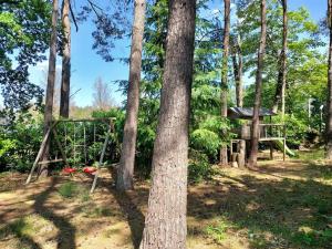 Familiehuis Zeegserduinen