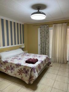 Vulcano Los Cristianos