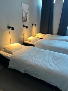 Hotell Salem - تروسا